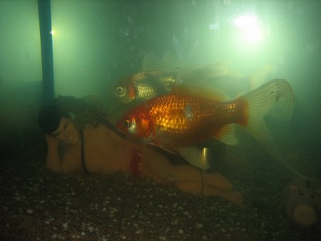 Jim dans l'aquarium